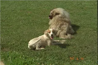 small_9400 1220 cew familyIMG0013.webp